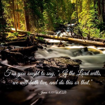 Picture 03 - James 4:15 WEB - For you ought to say, 