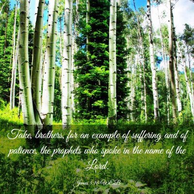 Picture 03 - James 5:10 WEB - Take, brothers, for an example of suffering and - Bible Verse Picture