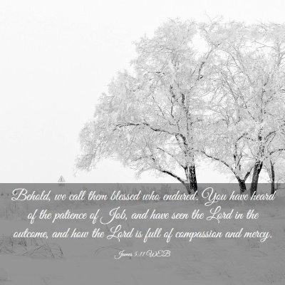 Picture 03 - James 5:11 WEB - Behold, we call them blessed who endured. You - Bible Verse Picture