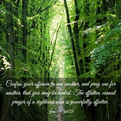 Picture 03 - James 5:16 WEB - Confess your offenses to one another, and pray - Bible Verse Picture
