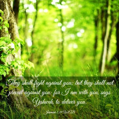 Picture 03 - Jeremiah 1:19 WEB - They shall fight against you; but they shall not - Bible Verse Picture
