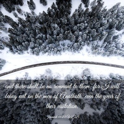 Picture 03 - Jeremiah 11:23 WEB - and there shall be no remnant to them: for I will - Bible Verse Picture