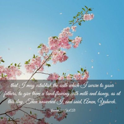 Picture 03 - Jeremiah 11:5 WEB - that I may establish the oath which I swore to - Bible Verse Picture