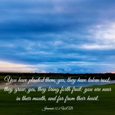 Picture 03 - Jeremiah 12:2 WEB - You have planted them, yes, they have taken root; - Bible Verse Picture
