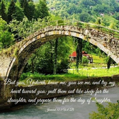 Picture 03 - Jeremiah 12:3 WEB - But you, Yahweh, know me; you see me, and try my - Bible Verse Picture