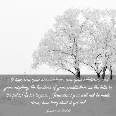 Picture 03 - Jeremiah 13:27 WEB - I have seen your abominations, even your - Bible Verse Picture