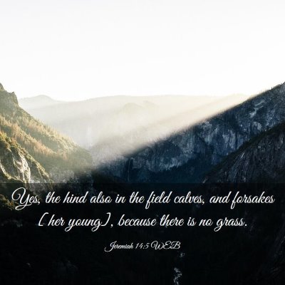 Picture 03 - Jeremiah 14:5 WEB - Yes, the hind also in the field calves, and - Bible Verse Picture