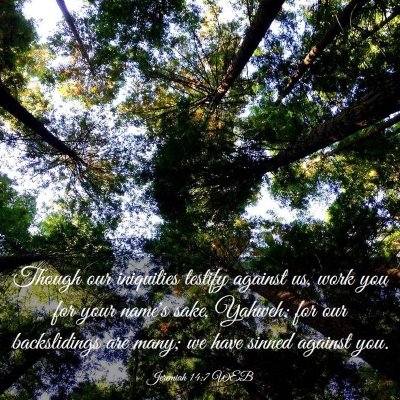 Picture 03 - Jeremiah 14:7 WEB - Though our iniquities testify against us, work - Bible Verse Picture