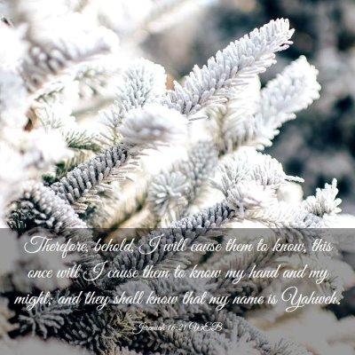 Picture 03 - Jeremiah 16:21 WEB - Therefore, behold, I will cause them to know, - Bible Verse Picture