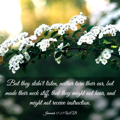 Picture 03 - Jeremiah 17:23 WEB - But they didn't listen, neither turn their ear, - Bible Verse Picture