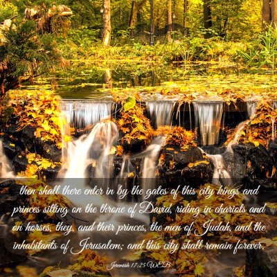 Picture 03 - Jeremiah 17:25 WEB - then shall there enter in by the gates of this - Bible Verse Picture