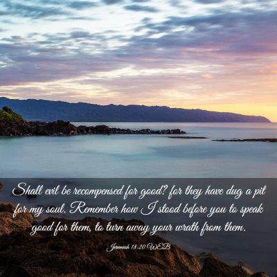 Picture 03 - Jeremiah 18:20 WEB - Shall evil be recompensed for good? for they have - Bible Verse Picture
