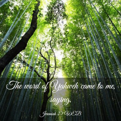 Picture 03 - Jeremiah 2:1 WEB - The word of Yahweh came to me, - Bible Verse Picture