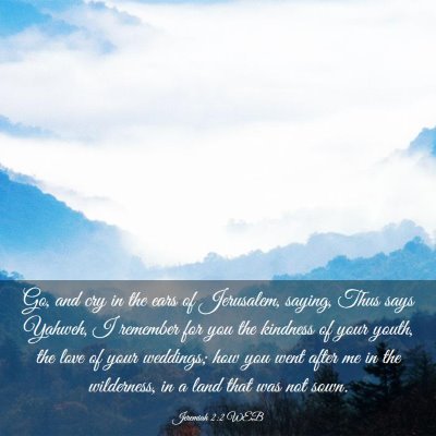Picture 03 - Jeremiah 2:2 WEB - Go, and cry in the ears of Jerusalem, saying, - Bible Verse Picture
