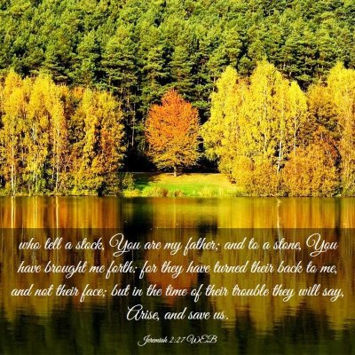 Picture 03 - Jeremiah 2:27 WEB - who tell a stock, You are my father; and to a - Bible Verse Picture