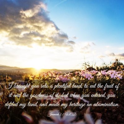 Picture 03 - Jeremiah 2:7 WEB - I brought you into a plentiful land, to eat the - Bible Verse Picture