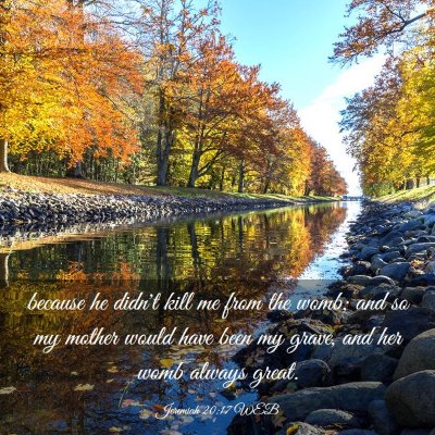 Picture 03 - Jeremiah 20:17 WEB - because he didn't kill me from the womb; and so - Bible Verse Picture