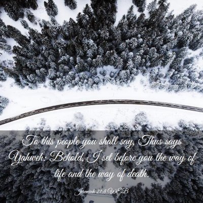 Picture 03 - Jeremiah 21:8 WEB - To this people you shall say, Thus says Yahweh: - Bible Verse Picture