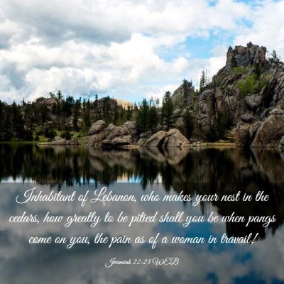 Picture 03 - Jeremiah 22:23 WEB - Inhabitant of Lebanon, who makes your nest in the - Bible Verse Picture