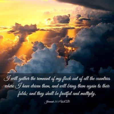 Picture 03 - Jeremiah 23:3 WEB - I will gather the remnant of my flock out of all - Bible Verse Picture