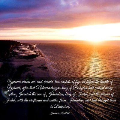 Picture 03 - Jeremiah 24:1 WEB - Yahweh shown me, and, behold, two baskets of figs - Bible Verse Picture