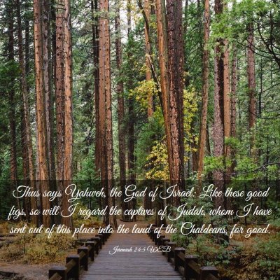 Picture 03 - Jeremiah 24:5 WEB - Thus says Yahweh, the God of Israel: Like these - Bible Verse Picture