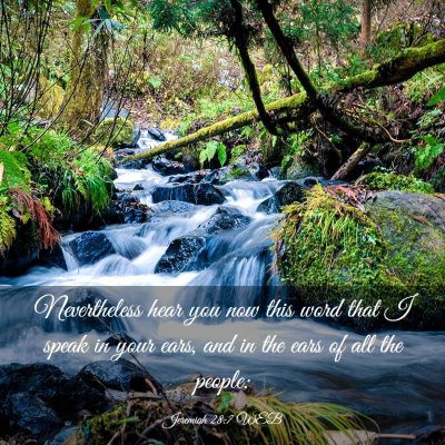 Picture 03 - Jeremiah 28:7 WEB - Nevertheless hear you now this word that I speak - Bible Verse Picture