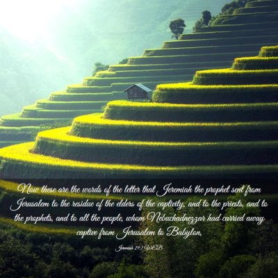 Picture 03 - Jeremiah 29:1 WEB - Now these are the words of the letter that - Bible Verse Picture