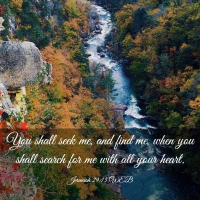 Picture 03 - Jeremiah 29:13 WEB - You shall seek me, and find me, when you shall - Bible Verse Picture