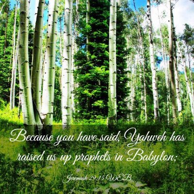 Picture 03 - Jeremiah 29:15 WEB - Because you have said, Yahweh has raised us up - Bible Verse Picture
