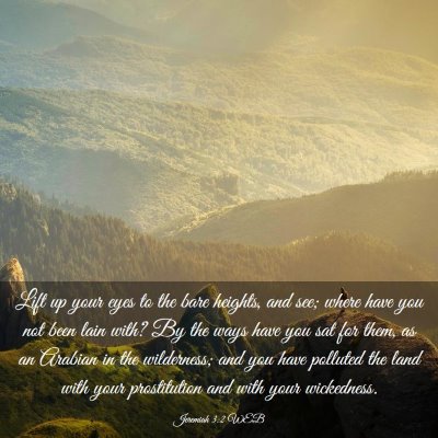 Picture 03 - Jeremiah 3:2 WEB - Lift up your eyes to the bare heights, and see; - Bible Verse Picture