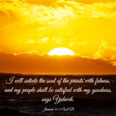 Picture 03 - Jeremiah 31:14 WEB - I will satiate the soul of the priests with - Bible Verse Picture