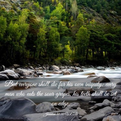 Picture 03 - Jeremiah 31:30 WEB - But everyone shall die for his own iniquity: - Bible Verse Picture