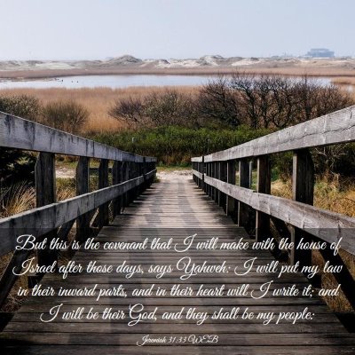 Picture 03 - Jeremiah 31:33 WEB - But this is the covenant that I will make with - Bible Verse Picture