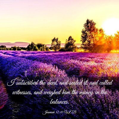 Picture 03 - Jeremiah 32:10 WEB - I subscribed the deed, and sealed it, and called - Bible Verse Picture