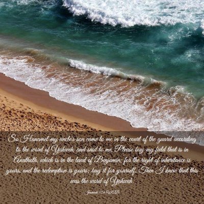 Picture 03 - Jeremiah 32:8 WEB - So Hanamel my uncle's son came to me in the court - Bible Verse Picture