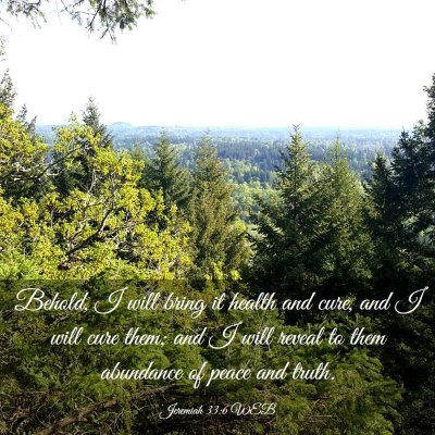 Picture 03 - Jeremiah 33:6 WEB - Behold, I will bring it health and cure, and I - Bible Verse Picture