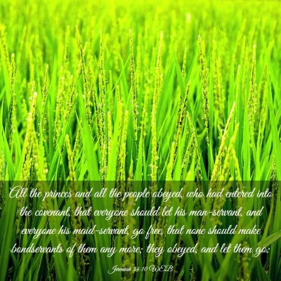 Picture 03 - Jeremiah 34:10 WEB - All the princes and all the people obeyed, who - Bible Verse Picture