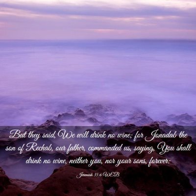 Picture 03 - Jeremiah 35:6 WEB - But they said, We will drink no wine; for Jonadab - Bible Verse Picture