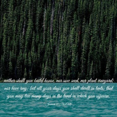 Picture 03 - Jeremiah 35:7 WEB - neither shall you build house, nor sow seed, nor - Bible Verse Picture