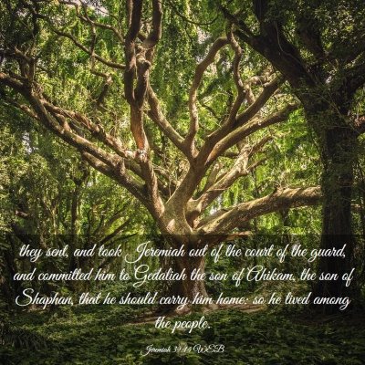 Picture 03 - Jeremiah 39:14 WEB - they sent, and took Jeremiah out of the court of - Bible Verse Picture