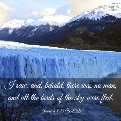 Picture 03 - Jeremiah 4:25 WEB - I saw, and, behold, there was no man, and all the - Bible Verse Picture