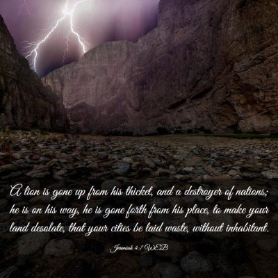 Picture 03 - Jeremiah 4:7 WEB - A lion is gone up from his thicket, and a - Bible Verse Picture