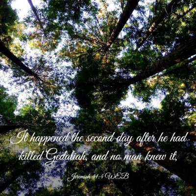 Picture 03 - Jeremiah 41:4 WEB - It happened the second day after he had killed - Bible Verse Picture