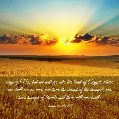 Picture 03 - Jeremiah 42:14 WEB - saying, No; but we will go into the land of - Bible Verse Picture