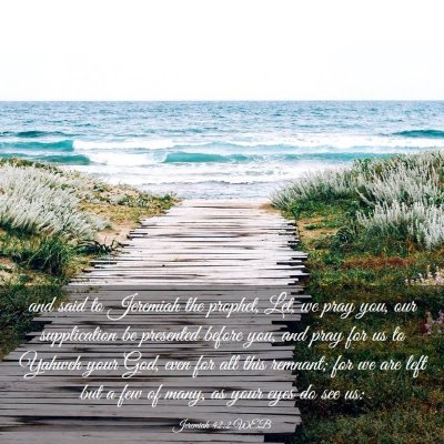 Picture 03 - Jeremiah 42:2 WEB - and said to Jeremiah the prophet, Let, we pray - Bible Verse Picture