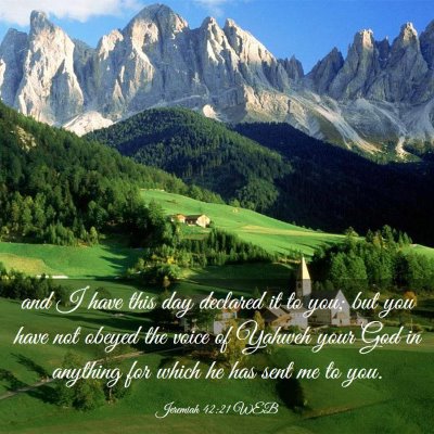 Picture 03 - Jeremiah 42:21 WEB - and I have this day declared it to you; but you - Bible Verse Picture