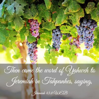 Picture 03 - Jeremiah 43:8 WEB - Then came the word of Yahweh to Jeremiah in - Bible Verse Picture