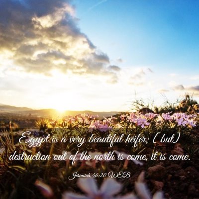 Picture 03 - Jeremiah 46:20 WEB - Egypt is a very beautiful heifer; [but] - Bible Verse Picture