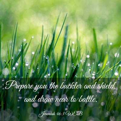 Picture 03 - Jeremiah 46:3 WEB - Prepare you the buckler and shield, and draw near - Bible Verse Picture